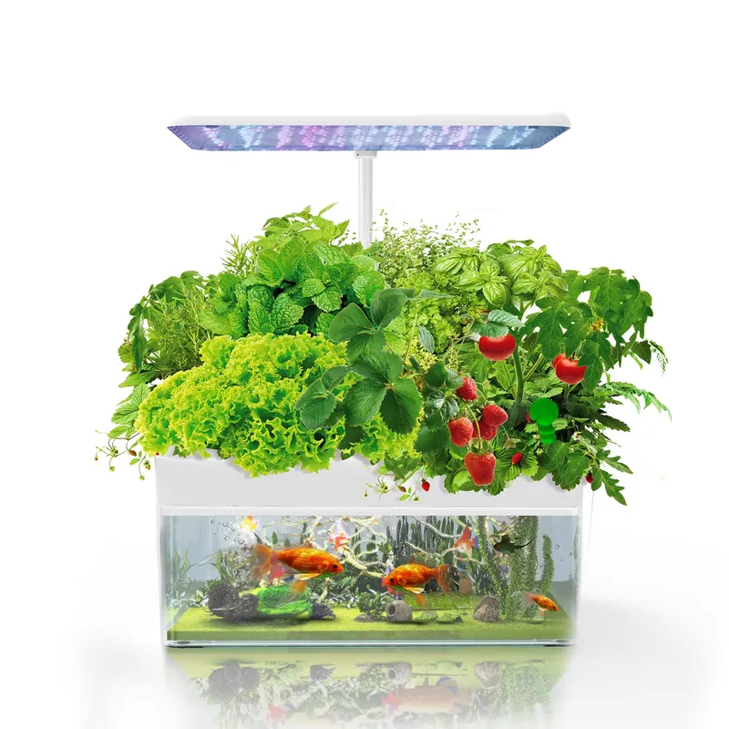 แบรนด์ IGS-70 ระบบปลูกพืชไฮโดร - Smart Gardening บทวิจารณ์และราคา