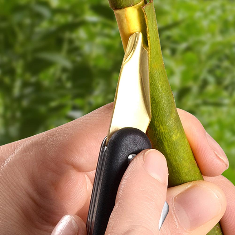 เครื่องต่อกิ่งผลไม้และผัก, เคร - Smart Garden Edging บทวิจารณ์และราคา