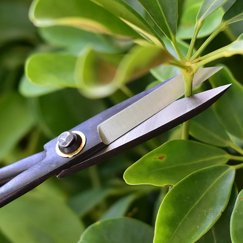 1pcs Professional Bonsai เครื่ - Smart Garden Edging บทวิจารณ์และราคา