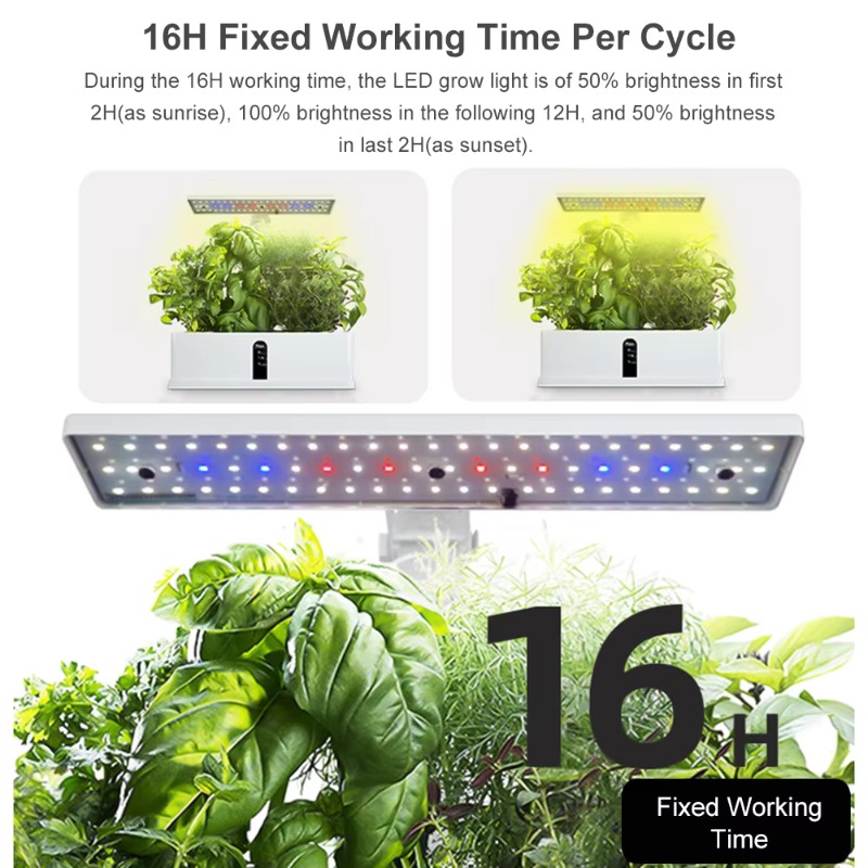 ระบบปลูกพืชไฮโดรโพนิกส์อัจฉริย - Smart Gardening บทวิจารณ์และราคา